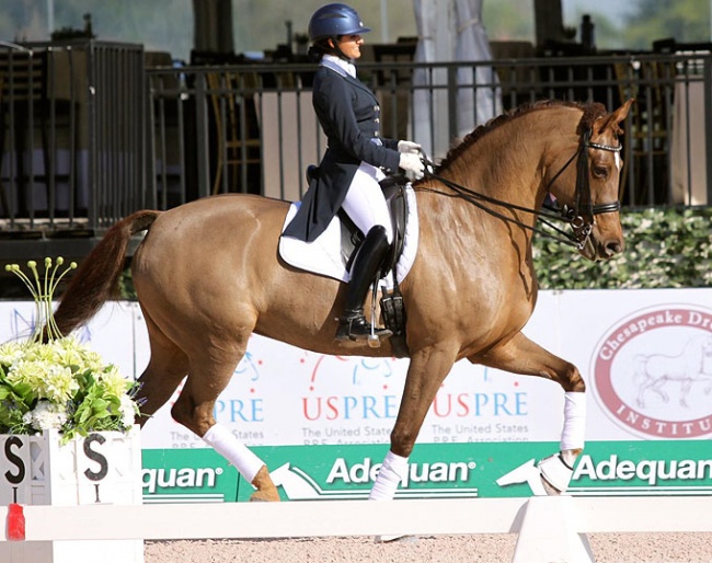 Alexandra Dominguez and Etanga at the 2019 CDI Wellington