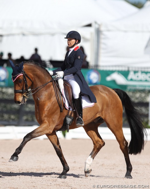 Jill Irving and Degas at the 2019 CDI Wellington :: Photo © Astrid Appels