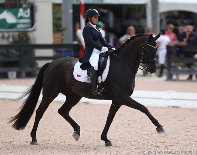 Virginia Yarur and E Rava at the 2019 CDI Wellington :: Photo © Astrid Appels