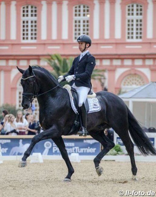Bart Veeze and Imposantos at the 2019 CDI Wiesbaden :: Photo © LL-foto