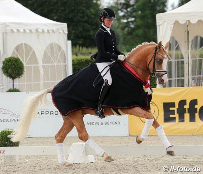 Danica Duen and Herzkönig win the 2017 Westfalian Young Pony Championships in the 4-year old division :: Photo © LL-foto