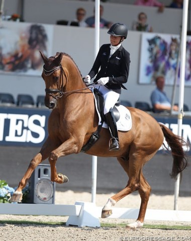 Jessica Michel-Botton and Dorian Grey de Hus at the 2018 World Championships for Young Dressage Horses in Ermelo :: Photo © Astrid Appels