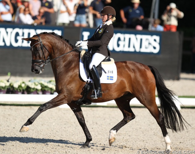 Jeanna Hogberg and Astoria at the 2018 World Young Horse Championships :: Photo © Astrid Appels