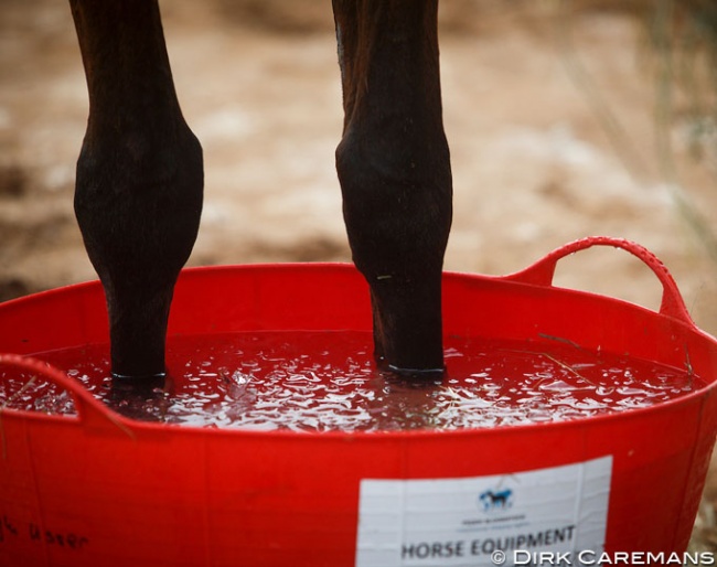 Standing in ice and water still proves to be the most effective cooling technique :: Photo © Hippofoto