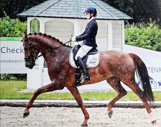 Beatrice Buchenwald and Estero at the 2019 CDN Bettenrode