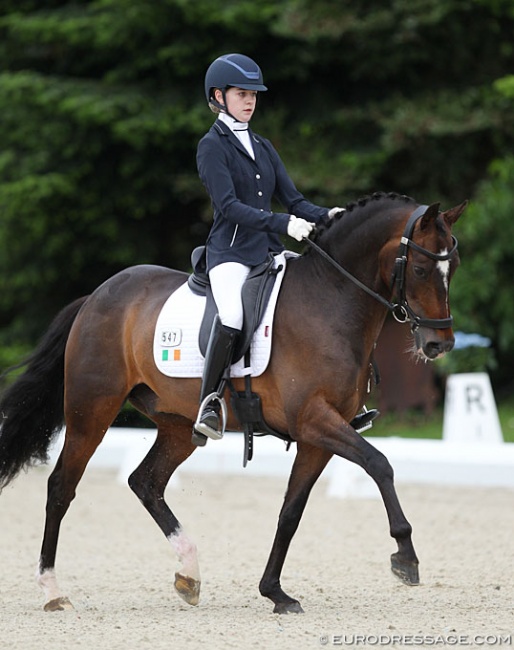 Martha Jobling Purser with Valido’s Starlight at the 2019 CDIO-PJYR Hagen :: Photo © Astrid Appels