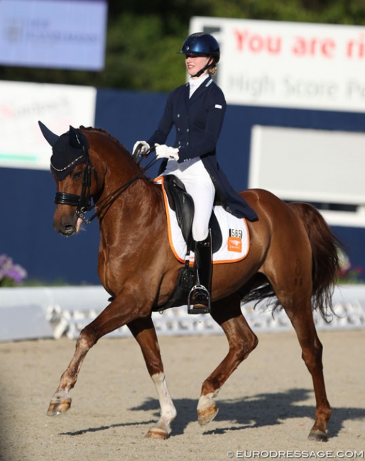 Pem Verbeek on the formerly Belgian owned licensed Oldenburg stallion Fernando Torres at the 2019 CDI-J Hagen :: Photo © Astrid Appels