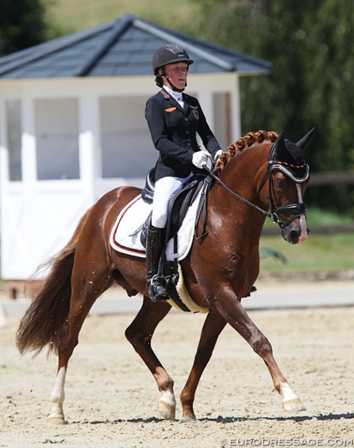 Antonia Busch-Kuffner on Daily Pleasure at the 2019 CDI Leudelange :: Photo © Astrid Appels