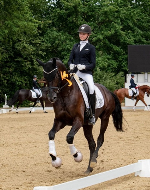 Charlotte Tollhopf on Maximus at the 2019 CDN Steinhagen