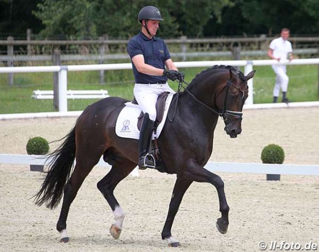 Frederic Wandres and Zucchero at the German WCYH selection trial in Warendorf :: Photo © LL-foto