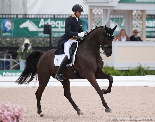 Endel Ots and Lucky Strike at the 2019 CDI Wellington :: Photo © Astrid Appels