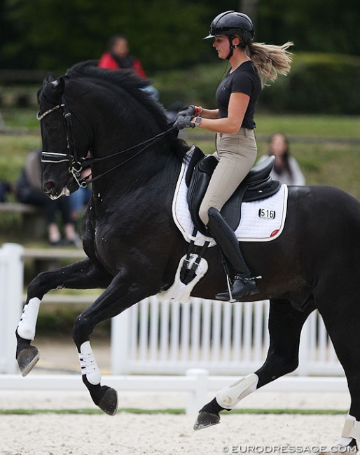 Emmelie Scholtens schooling Desperado at the 2019 CDIO Compiègne :: Photo © Astrid Appels