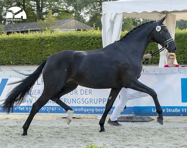 Fabelle Noir (by For Romance x Gribaldi) :: Photo © Guido Recki