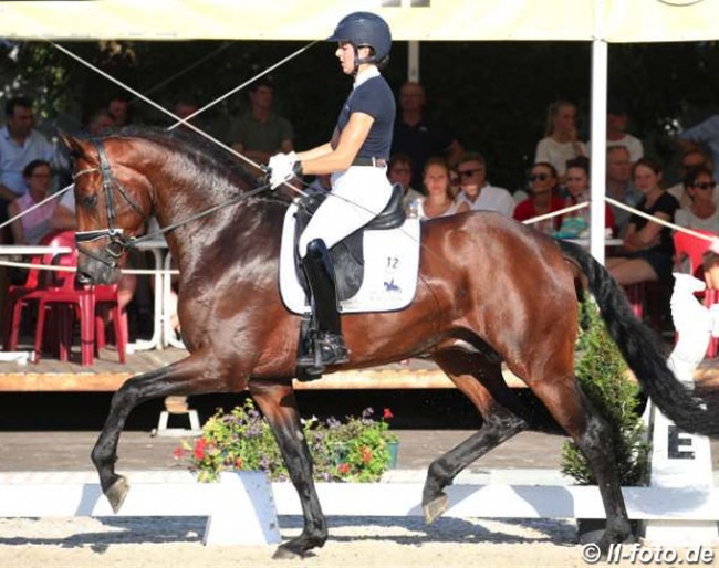 Ana Teresa Pires and About You at the 2019 Westfalian Young Horse Championships :: Photo © LL-foto