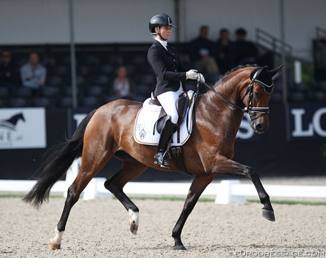 Eva Möller and Espe at the 2019 World Young Horse Championships :: Photo © Astrid Appels