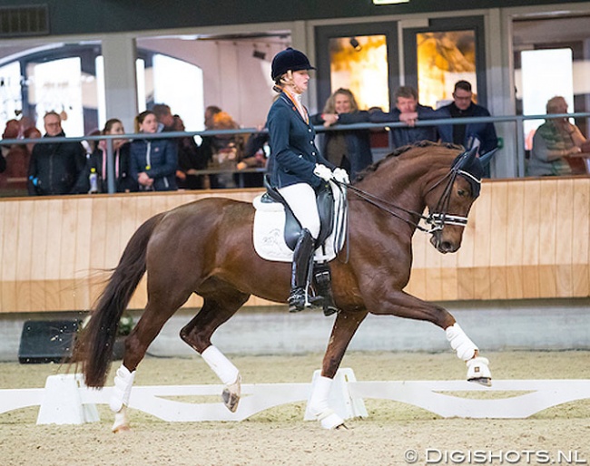 Suzanne Kleijwegt and Finnländerin at the 2018 Dutch Indoor Dressage Championships in Ermelo :: Photo © Digishots