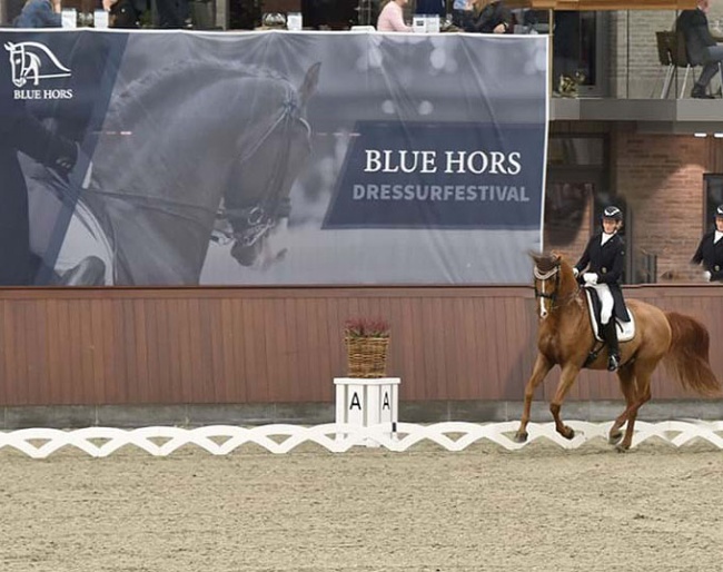 Blue Hors Dressage Festival