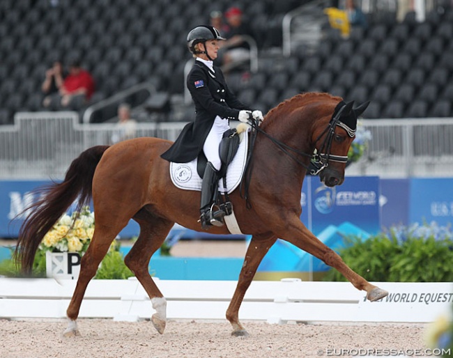 Julie Brougham and Vom Feinsten at the 2018 World Equestrian Games in Tryon :: Photo © Astrid Appels