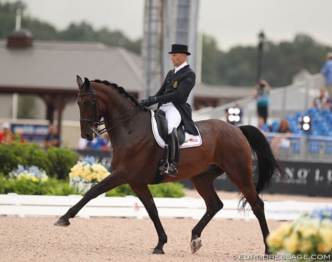 Jeroen Devroe and Eres DL at the 2018 World Equestrian Games in Tryon :: Photo © Astrid Appels
