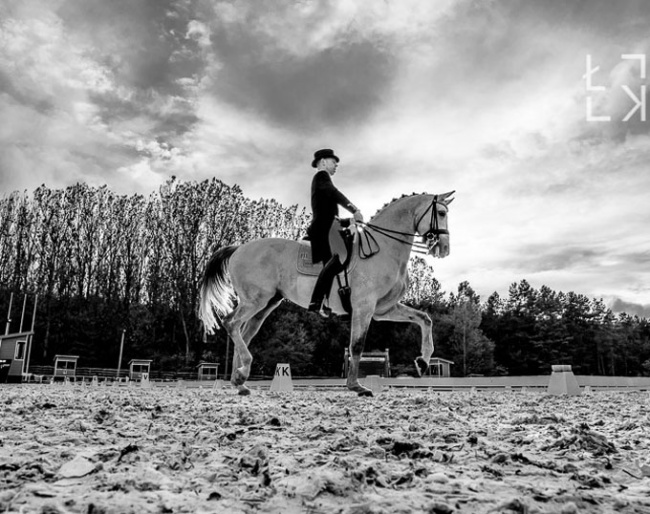 Hans Peter Minderhoud and Zanardi at the 2019 CDI-W Budapest at Stable Unikornis :: Photo © Lukasz Kowalski