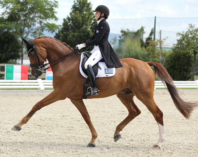 Theodora Livanos and Dono di Maggio at the 2019 CDI Crozet :: Photo © Celine Bocchino