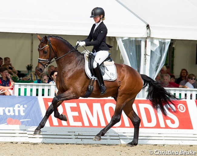 Rod Laver at the 2019 Hanoverian Young Horse Championships in Verden in August :: Photo © Christina Beuke