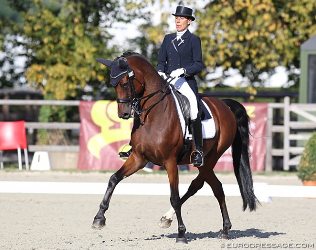 French Group 1 rider Stephanie Brieussel and Amorak at the 2019 CDI Waregem :: Photo © Astrid Appels
