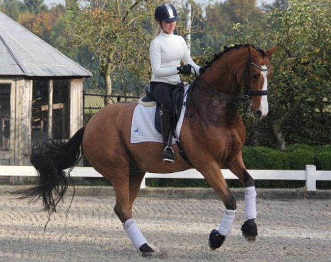 Dequan in 2012 under Maxime van der Vlist