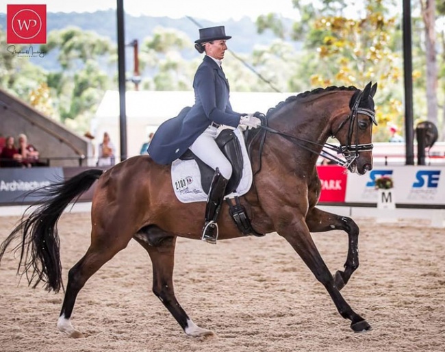 Gitte Donvig and Sancette at the 2019 CDI-W Bawley Point :: Photo © Stephen Mowbray