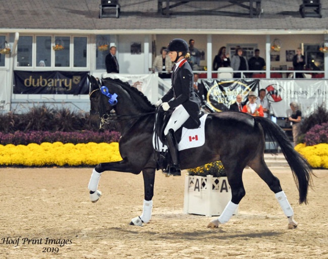 Lindsay Kellock and Sebastien at the 2019 CDI-W Devon :: Photo © Hoof Print Images