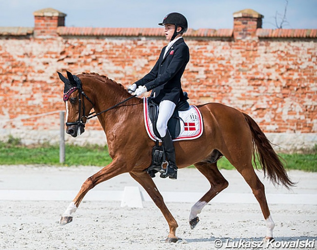 Alexander Yde Helgstrand and Adriano B at the 2019 European Pony Championships :: Photo © Lukasz Kowalski