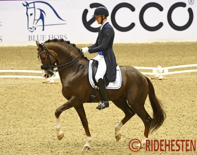 Daniel Bachmann Andersen and Blue Hors Don Olymbrio at the 2019 CDI-W Herning :: Photo © Ridehesten