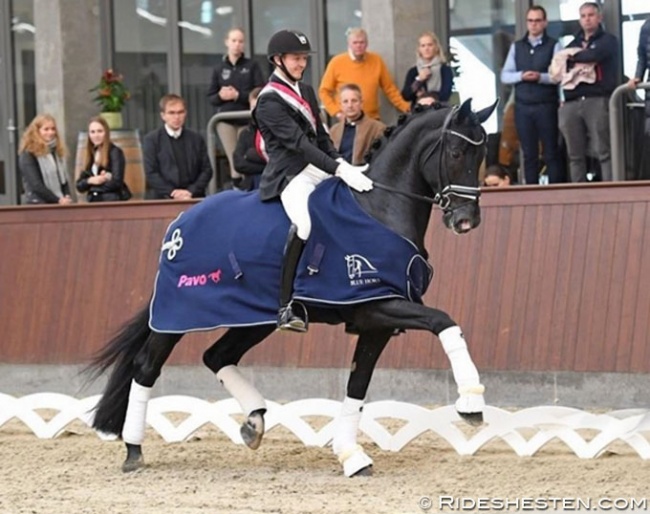 Thomas Sigtenbjerggaard on Kardieno at the 2019 Danish Young Horse Championships :: Photo © Ridehesten