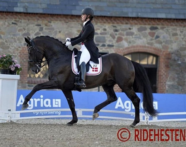 Anna Kasprzak and Addict de Massa at the 2019 CDI Aarhus :: Photo © Ridehesten