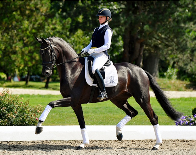 2019 Bundeschampion Saniola