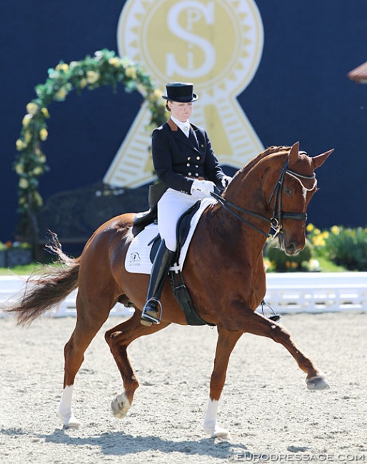 Maria Anita Andersen and Rebelle at the 2013 CDI Hagen :: Photo © Astrid Appels