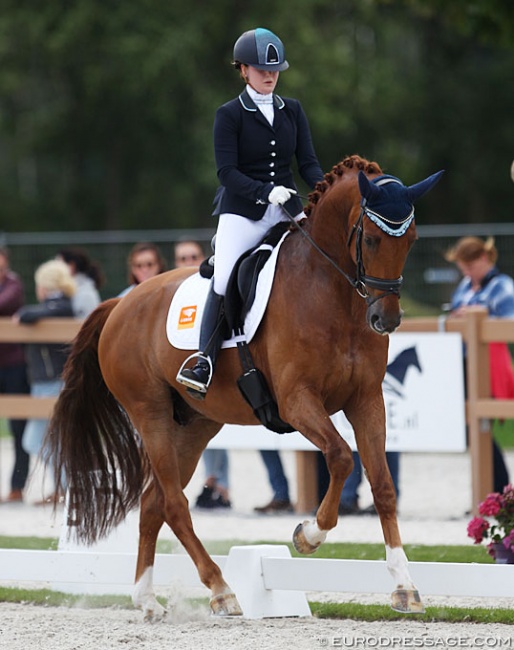 Jeanine Nieuwenhuis and Genua TC at the 2017 World Young Horse Championships in Ermelo :: Photo © Astrid Appels
