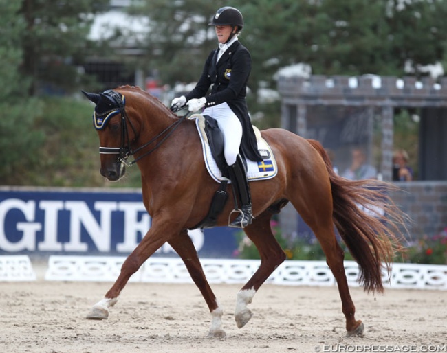 Sofie Andersson and CSI at the 2018 European Young Riders Championships in Fontainebleau, France :: Photo © Astrid Appels