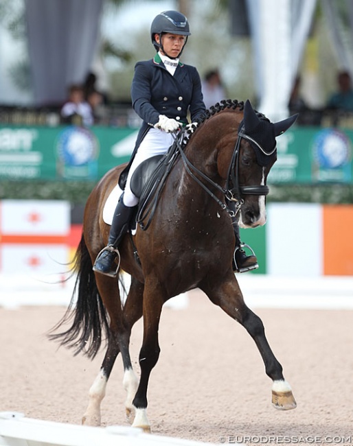 Monica Burssens and Sao Passionato at the 2018 CDI Wellington :: Photo © Astrid Appels