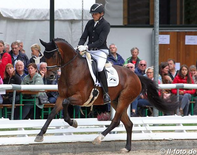 Lars Schulze Sutthoff on Rock Revolution at the 2019 Bundeschampionate :: Photo © LL-foto
