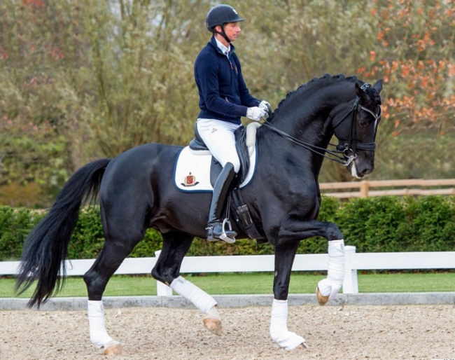 Patrik Kittel and Sezuan in November 2019 :: Photo © Tanja Becker