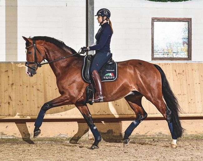 Dorothee Schneider on Liliano OLD: a photo of a young horse in the desired frame with the rider with a relaxed leg position that allows for the movement to flow :: Photo © Jan Reumann