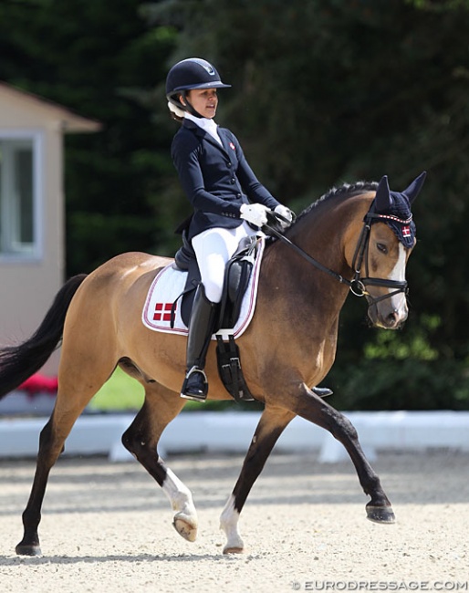 Mathilde Jepsen and Tackmann's Cookie at the 2019 CDIO-P Hagen :: Photo © Astrid Appels