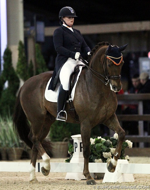 Lisanne Zoutendijk on Watteau at the 2019 CDI Lier :: Photo © Astrid Appels