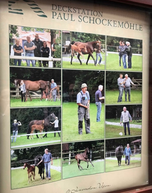 Recognizing breeders' efforts - Schockemöhle pays homage to the breeders with this big sign at the entrance of his stallion station