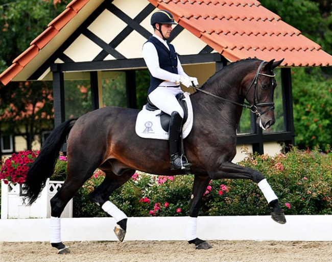 Frederic Wandres and Zomancier (by Zonik x Furst Romancier x Diamond Hit)