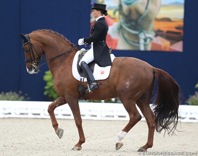 Charlott Schürmann and Burlington at their last international, the 2018 CDI Hagen :: Photo © Astrid Appels