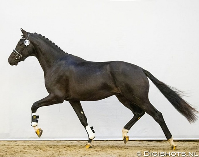 Most Wanted (by Franklin x Jazz) :: Photo © Digishots
