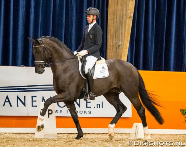 Hans Peter Minderhoud and Taminiau at the second leg of the 2019-2020 KWPN Stallion competition circuit :: Photo © Digishots