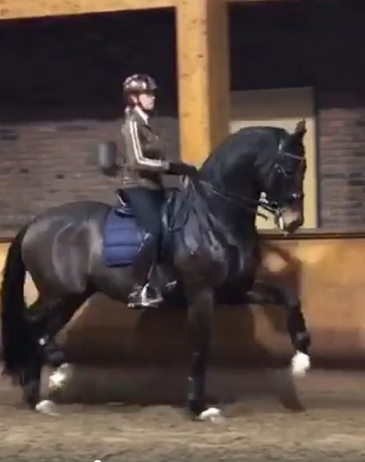 Teaser clip of Anky van Grunsven training Bon Bravour for Grand Prix